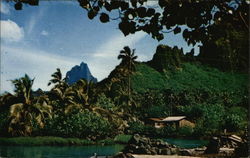 Moorea, Tahiti South Pacific Postcard Postcard