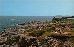 Chandler Hovey Park Postcard