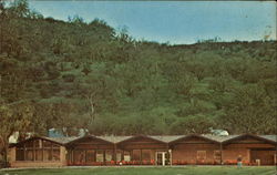 Osborn's Concession at San Antonio Lake California Postcard Postcard