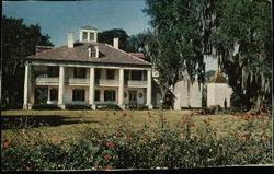 Louisiana Home Postcard Postcard