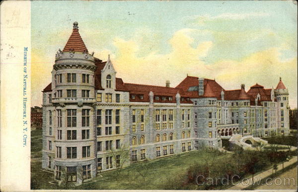 Museum of Natural History New York