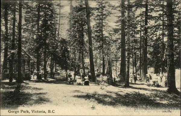 Gorge Park Victoria BC Canada British Columbia