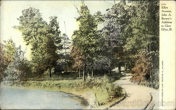Ellyn Avenue Glen Ellyn Illinois
