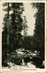 On the Ruidoso, White Mountains New Mexico Postcard Postcard