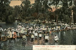 Eastlake Park Postcard