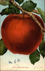 The Big Red Apple Fruit Postcard Postcard