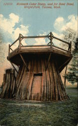Wrights Park - Mammoth Cedar Stump, Used for Bandstand Tacoma, WA Postcard Postcard