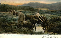 Deer Stalking, Returning with the Spoils Hunting Postcard Postcard