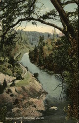 Sacramento Canyon Castella, CA Postcard Postcard