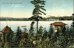 View from Dock Omena, MI Postcard Postcard