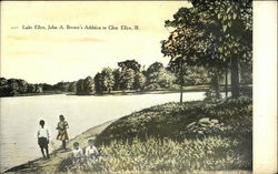 Lake Ellyn, John A. Brown's Addition to Glen Ellyn, Ill Postcard