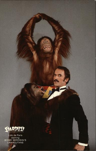 Stardust Hotel - Bobby Berosini's Orangutans Las Vegas Nevada