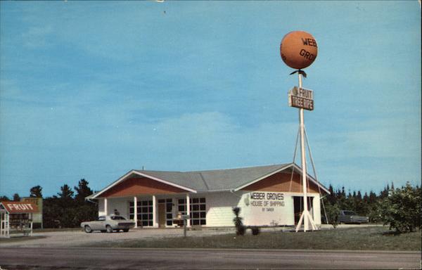 Weber Groves Land O' Lakes Florida