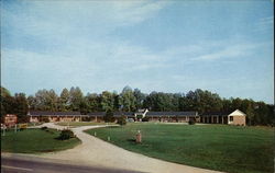 Webb's Motor Court Bowling Green, VA Postcard Postcard