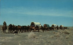 Dean Calkins C Bar D Ranch Postcard