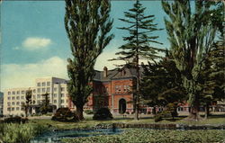 The Hokkaido Prefecture Office Postcard