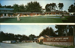 Milar's Butterfly Grove Milar's Butterfly Grove