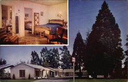 Redwood Court Redwood Court