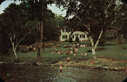 Lakeside Lodge Postcard