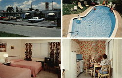 Motel Elite Motel Hollywood, FL Postcard Postcard