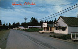 View of Homer Alaska Postcard Postcard