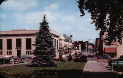 Business Section - View from Station looking up Elm Street Postcard