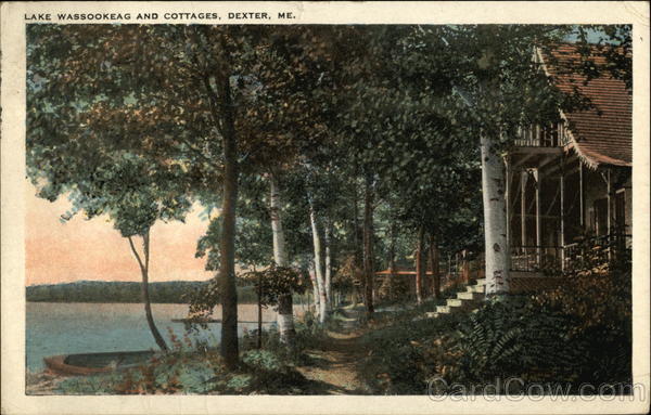 Lake Wassookeag and Cottages Dexter Maine