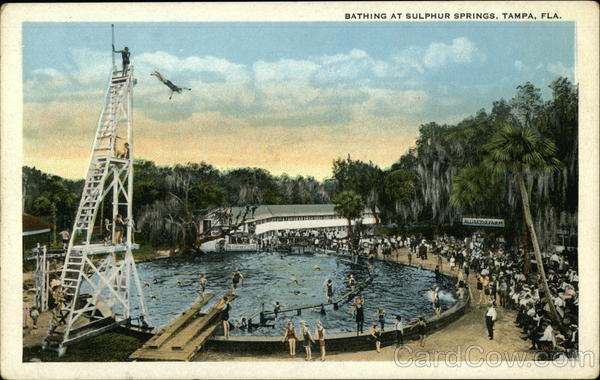 Bathing at Sulphur Springs Tampa Florida