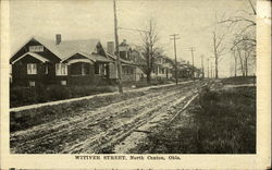 Witiver Street North Canton, OH Postcard Postcard