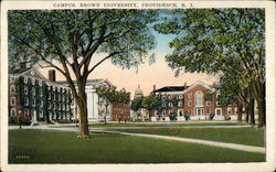Campus, Brown University, Providence, R. I Postcard