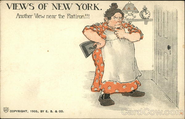 Views of New York Comic, Funny