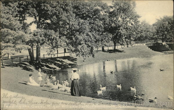 Feeding the Geese, Roger Williams Park Providence Rhode Island