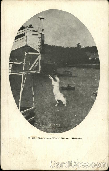 J.W. Gorman's High Diving Horses Queen