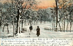 White Winter, Cherokee Park Louisville, KY Postcard Postcard