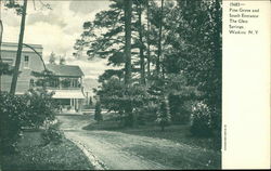 Pine Grove and South Entrance to The Glen Springs Postcard