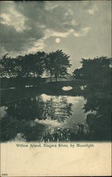 Willow Island, Niagara River by Moonlight Postcard