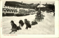 Tote Team Bayfield, WI Postcard Postcard