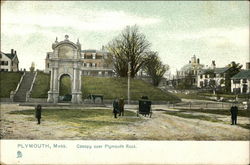 Canopy Over Plymouth Rock Postcard