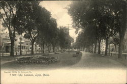 The Common Lynn, MA Postcard Postcard