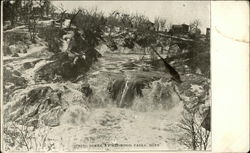 Spring Scene Postcard