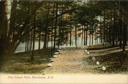Pine Island Park Postcard