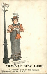 Views of New York - A domestic seen on Fifth Avenue Postcard