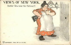 Views of New York Comic, Funny Postcard Postcard