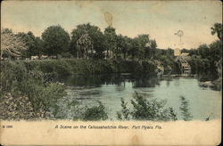 Caloosahatchie River Fort Myers, FL Postcard Postcard