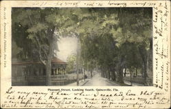 Pleasant Street, Looking South Postcard