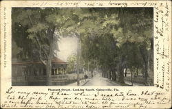 Pleasant Street, Looking South Gainesville, FL Postcard Postcard