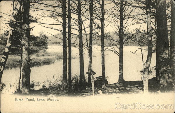 Birch Pond, Lynn Woods Massachusetts