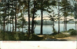 Island Billington Sea Postcard