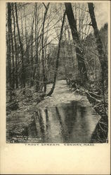 Trout Stream Conway, MA Postcard Postcard