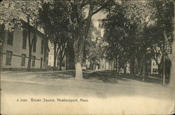 Brown Square Postcard